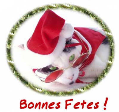 Bonnes fêtes !