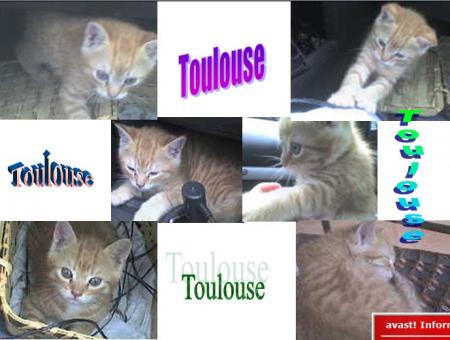 Toulouse