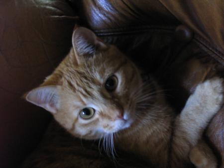 mon bébé d'amour